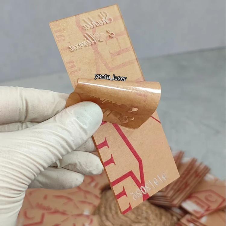 پلکسی تایوانی