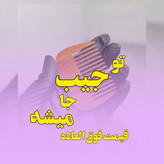 شانه جیبی کوچک | رنگ فندقی ( بسته ۱۰ عددی)